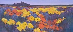 Spring Time - Namaqualand | 2025 | Oil on Canvas | 36 x 60 cm